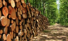 电力企业若何冲破瓶颈？3000+细分行业研